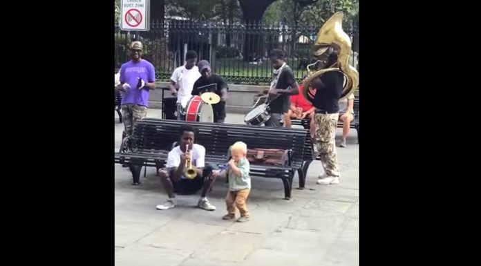 Toddler Performs With Brass Band In New Orleans
