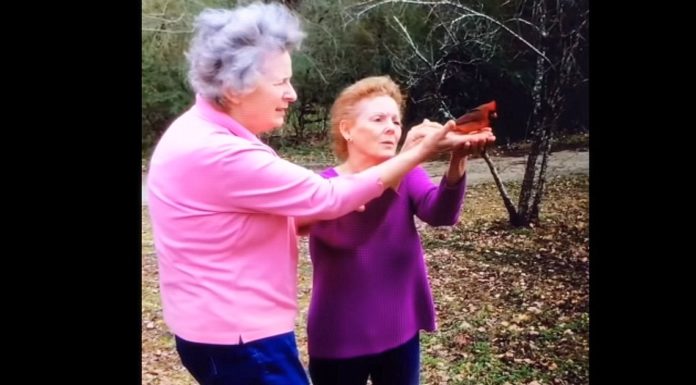 Small visitor comforts family