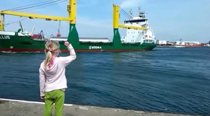 Young girl begs for massive ship to honk. 9 million have watched her regret it immediately