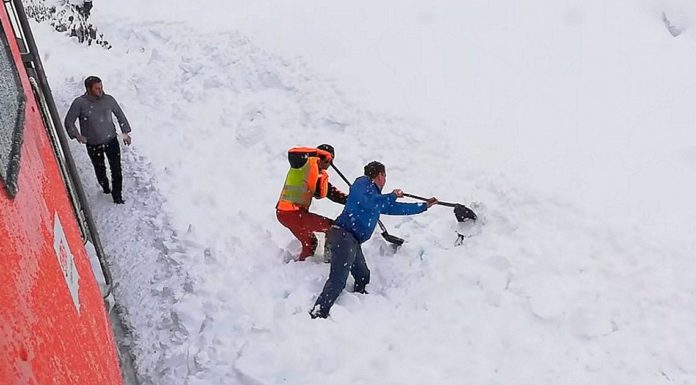 Animal trapped in snow gets saved by two railway workers