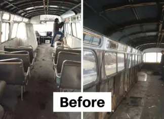 Woman buys vintage bus and transforms it into tiny home