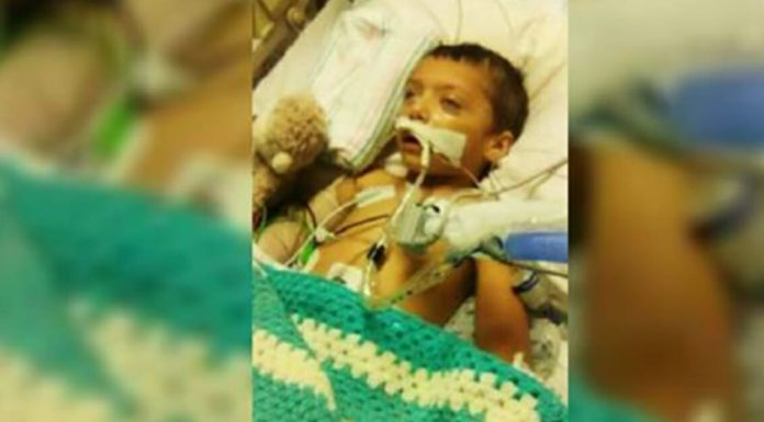 2-year-old boy left in vegetative state after being cruelly battered by mom’s boyfriend