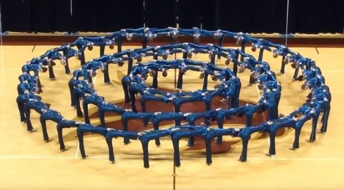 Emerald Belles high kick routine astonishes crowd