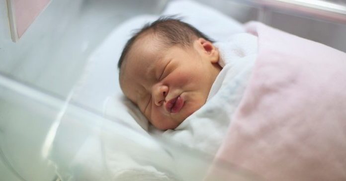 CDC report says American population could drop