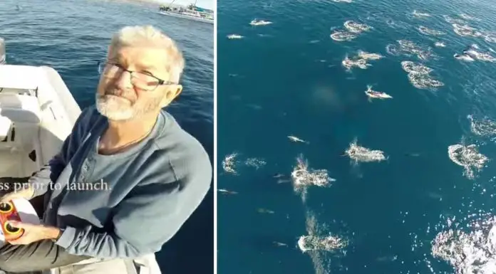 Captain Catches Rare and Breathtaking Event While Flying His Drone Over the Ocean