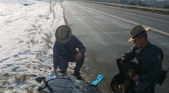Trucker slams the brakes when he spots it on the roadside. Now the police are begging for help
