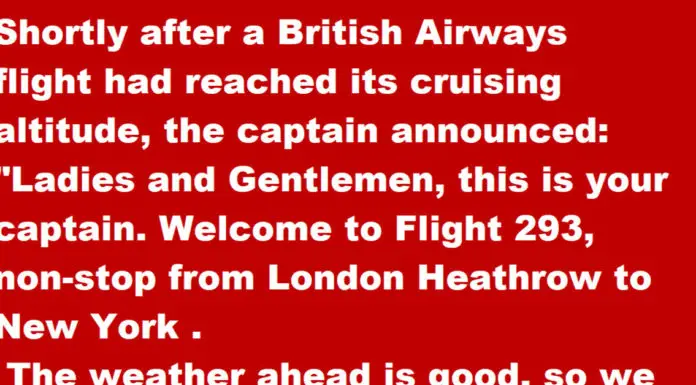 Pilot calls out over the intercom and the guy in the back of the plane give a hilarious response