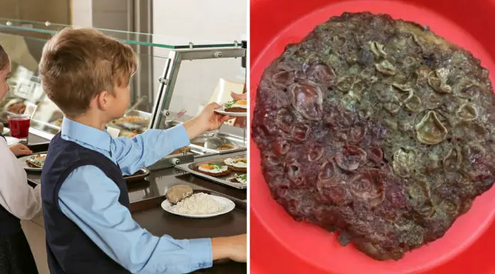 School’s disgusting lunch goes viral, superintendent stood up for staff