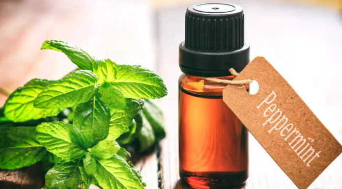 Simple spray with 2-ingredients – You will never see spiders, fleas, flies, lice, mice or moths in your home again!