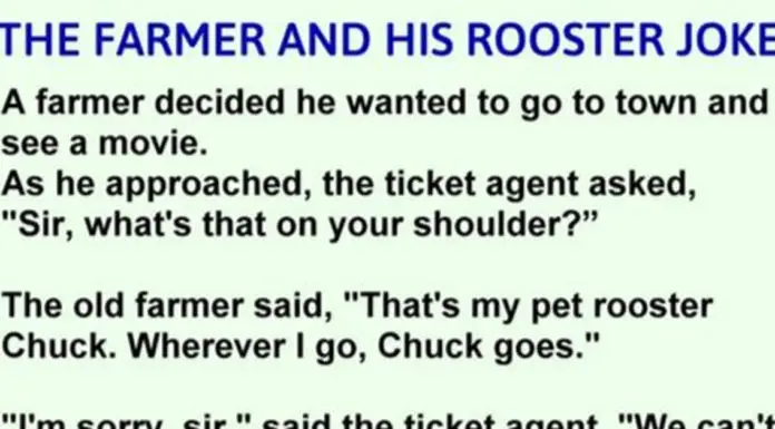 Farmer Brings Rooster To A Movie Theater And An Old Lady’s Reaction Is Going Viral