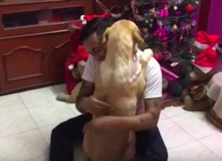 Dog Returns Home After Surgery and Gives His Dad a Big Hug
