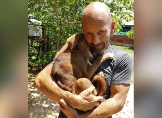 Puppy Saved From Slaughterhouse Shows Her Gratitude in an Incredible Manner