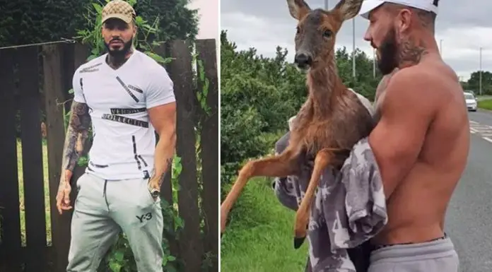 Man sees drowning deer, seconds after, he jumps into freezing cold canal in his boxers