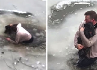 Man saves tiny pup from certain death by jumping into icy water and bringing it to safety