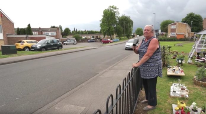 Ingenious Grandmother Solves Her Street’s Speeding Problems