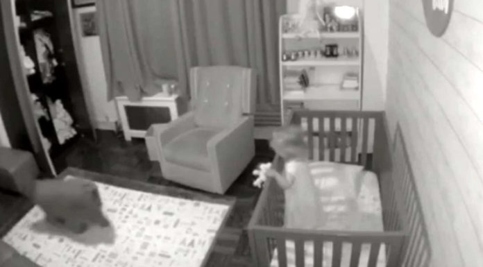 Family Dog Loves Helping Put Crying Baby Girl Back to Sleep During the Night