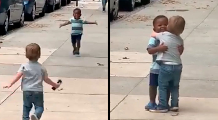 Toddler best friends hug like they haven’t seen each other in years