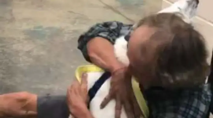 Brighten Your Day With This Touching Video Of A Homeless Man Reuniting With His Beloved Dog