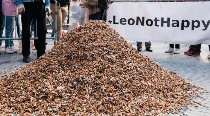 Cigarette butts are the most littered item on our planet – volunteers pick up 270k in just 3 hours