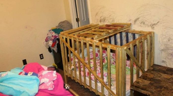 5 children removed from family after allegedly being locked in cages on several occasions