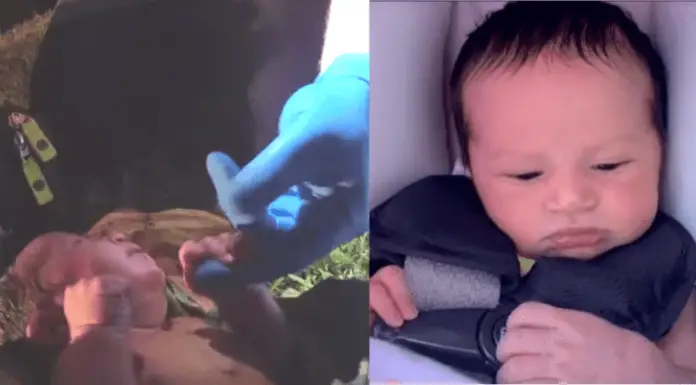 Baby girl placed in a plastic bag and abandoned in the woods found alive – Thousands want to adopt her