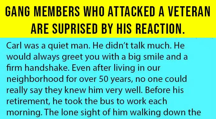 Gang Members Attack and Humiliate a Veteran – His Reaction Leaves Them in Awe