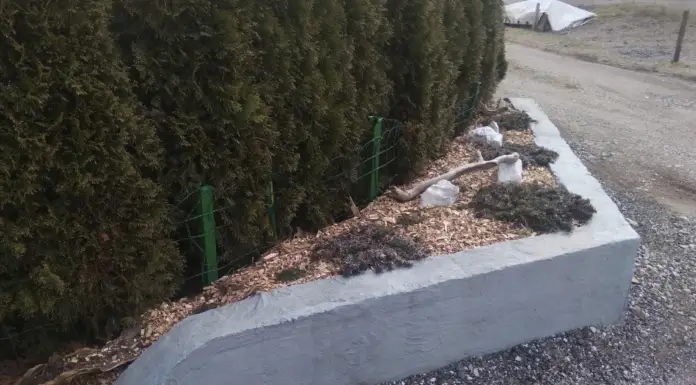 Neighbors Destroy Their Vehicles Because They Refuse to Stop Running over Fence