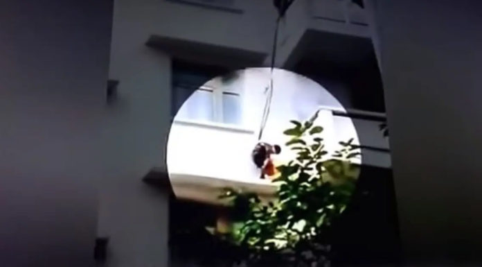 Grandmother makes her grandchild hang over 50-foot balcony so she could rescue her cat