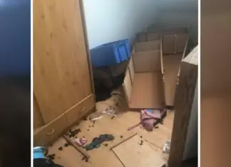 Tenants refuse to pay rent and leave tons of mess in former home – Landlord gets the revenge