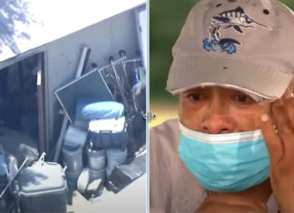 Hero recalls the moment he stepped in to save 6-year-old boy locked inside his grandma’s shed