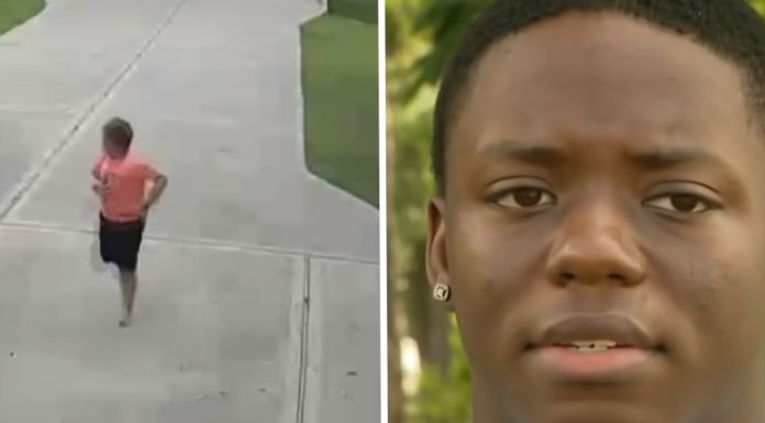 Footage shows the moment heroic teen saves 6-year-old from wild dog