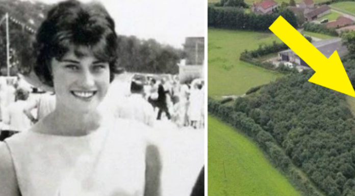 Heartbroken husband honors late wife by planting 6,000 oak trees for her, hiding a shape in the middle