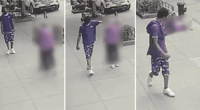 92-year-old Lady Knocked on the Ground by a Man Who Saw Her Fall and Hit Her Head on the Fire Hydrant but Kept Walking