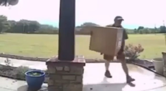 Delivery Guy on the Job Stops What He’s Doing to Fix American Flag Tangled in Wind