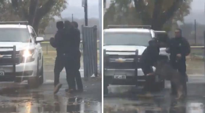 Man punches officer in the face, but K9 partner steps in and knocks the man down