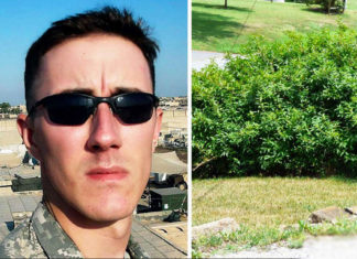 Veteran wants to end his life, but one encounter changes all for the better