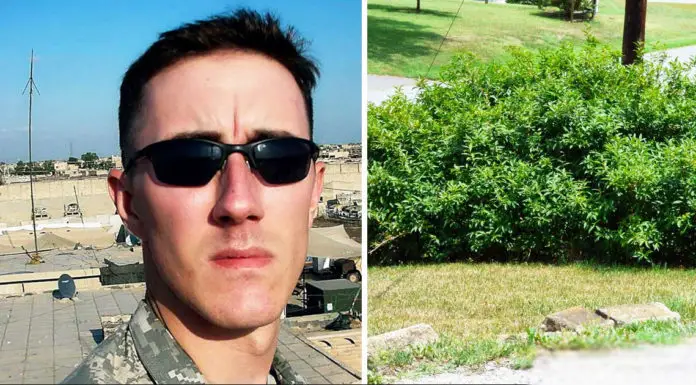 Veteran wants to end his life, but one encounter changes all for the better