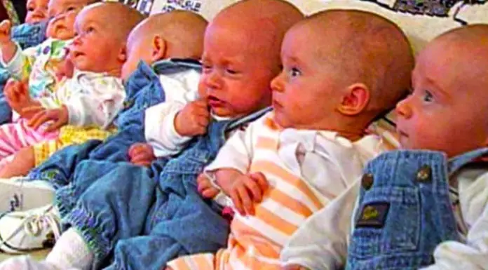 Mom makes worldwide headlines after giving birth to seven babies – Take a look at them 23 years later