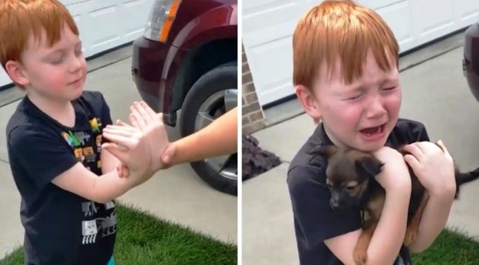 6-year-old was saving up to get a puppy, but then his grandparents asked him to close his eyes and stretch his hands