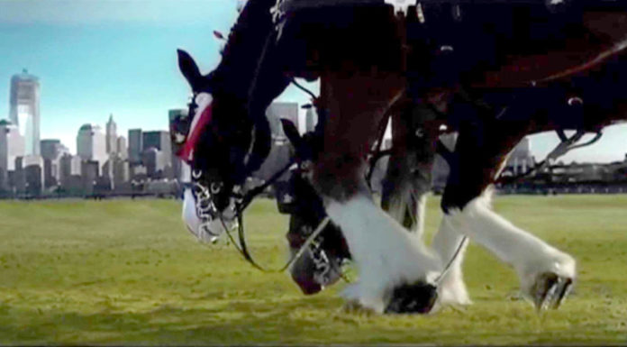 This touching 9/11 Budweiser commercial paying tribute to our nation only aired once