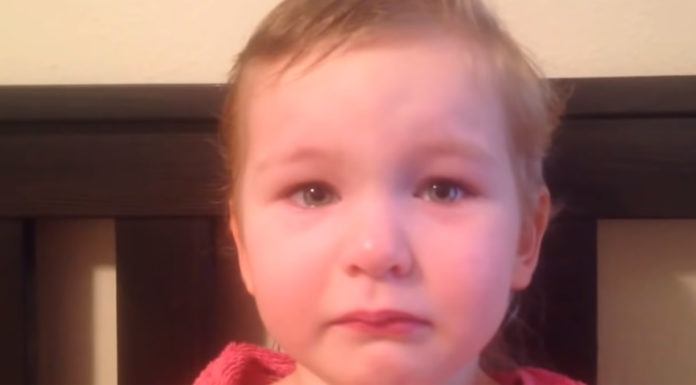 Little girl cuts off her hair, the reason why makes everyone laugh