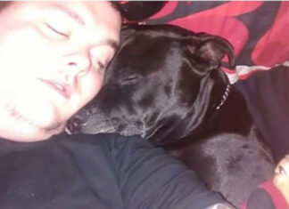 Man decides to take his own life – then he realizes what’s in his dog’s mouth