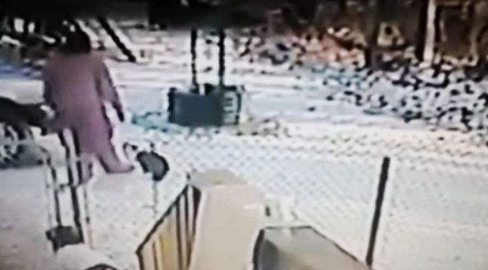 Mean woman kick snow onto cat’s face but karma strikes back