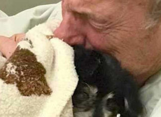 Heartbroken owner dies shortly after losing beloved four-legged friend of 14 years