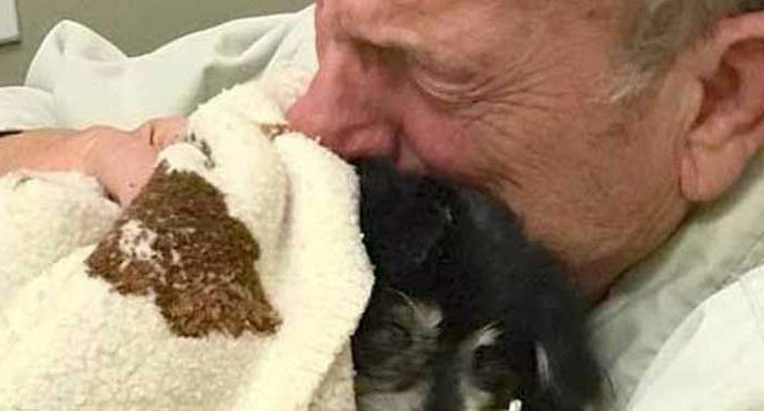 Heartbroken owner dies shortly after losing beloved four-legged friend of 14 years