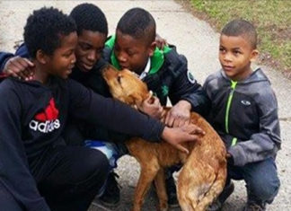 4 young boys save starving dog tied with bungee cords at the back of a house