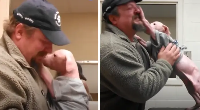 Man returns to adopt the puppy he rescued – The sweet soul couldn’t be happier