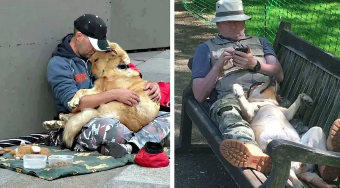 15 photos to prove that nothing ever beats dogs’ love