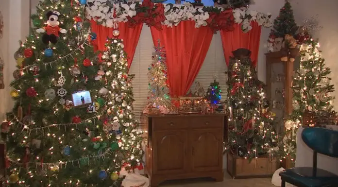 Arizona woman who collects Christmas trees has 106 displayed inside her home