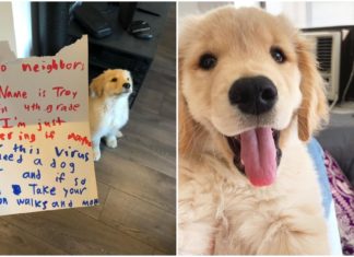 10-year-old boy is supper thrilled for his neighbors’ new dog